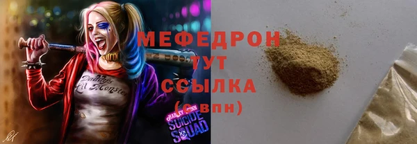 шишки Аркадак