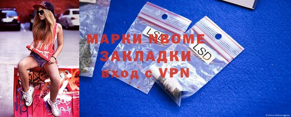 шишки Аркадак
