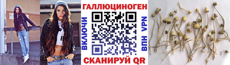Псилоцибиновые грибы GOLDEN TEACHER  что такое   Элиста 